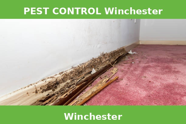 PEST CONTROL Winchester